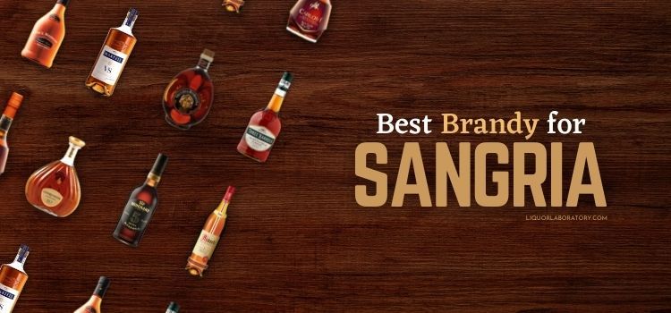 Best Brandy for Sangria: Elevating Sangria with the Right Brandy