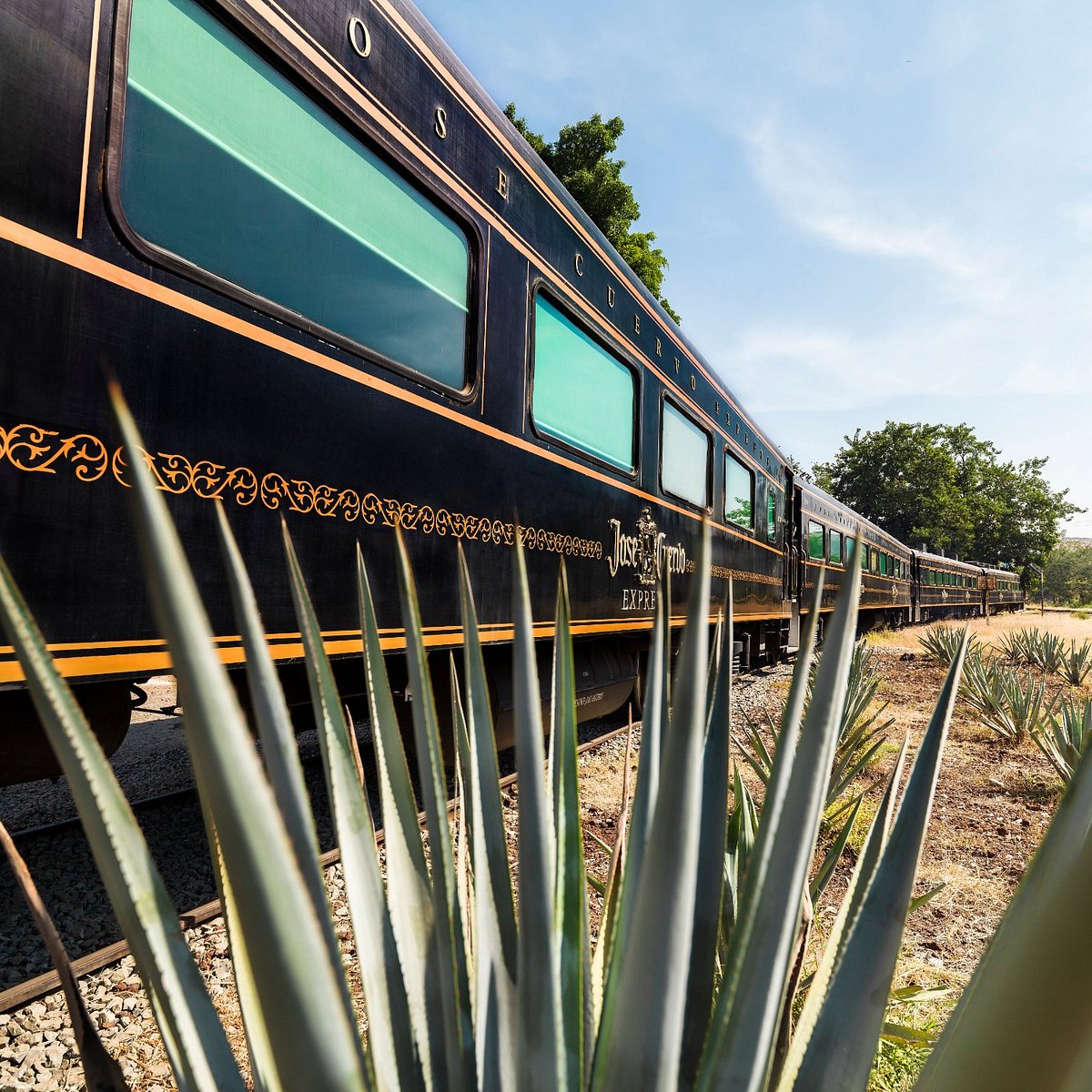 Tequila Express Train: All Aboard for a Tequila Adventure